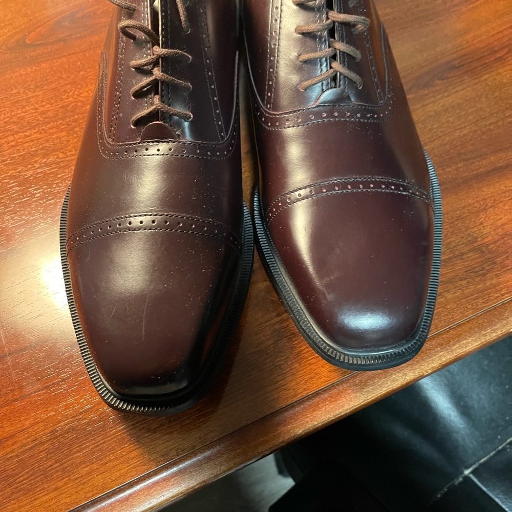 New Rockport dress shoes. Burgundy in color